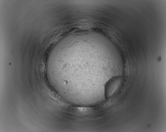 X0000115780371200911271209