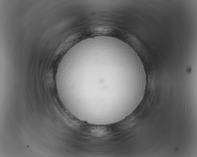 X0000115780377200911271210