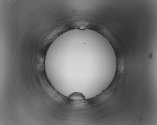 X0000115780378200911271210