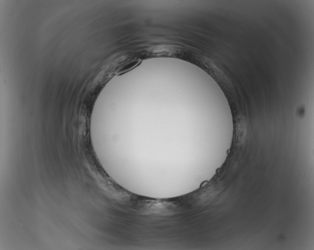 X0000115780379200911271210