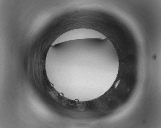 X0000115780382200911271210