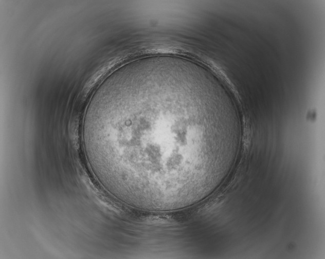 X0000115780386200911271209