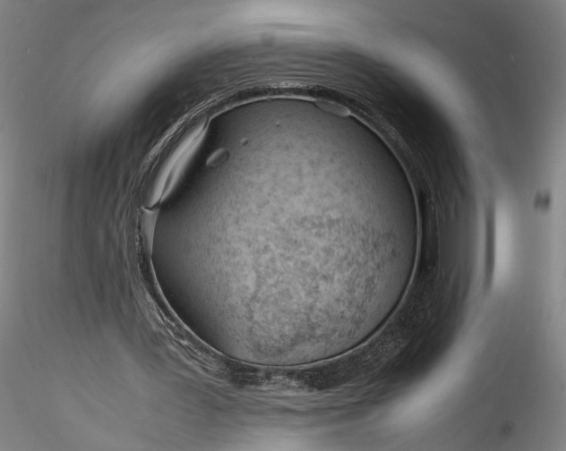 X0000115780387200911271209