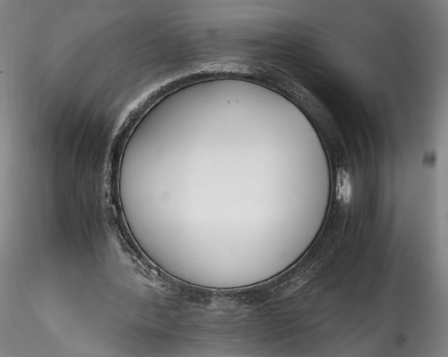 X0000115780388200911271209