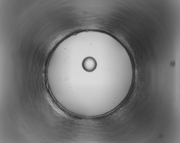 X0000115780389200911271209