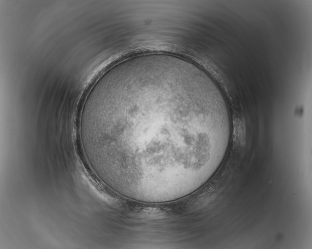 X0000115780390200911271209