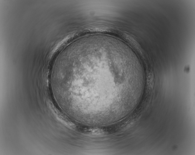 X0000115780395200911271209