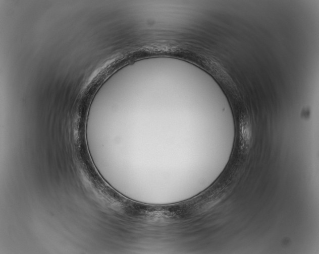 X0000115780396200911271209