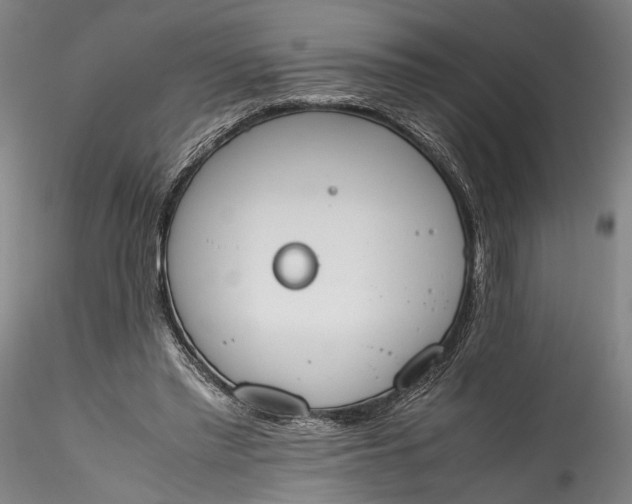 X0000115780397200911271209