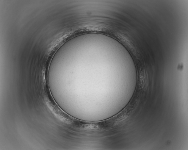 X0000115780398200911271209