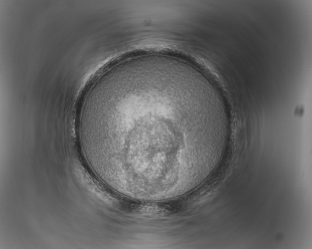 X0000115780399200911271209