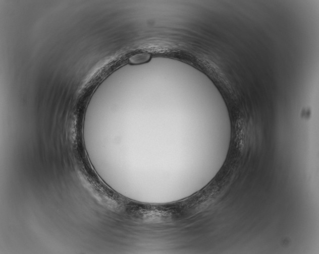 X0000115780400200911271209