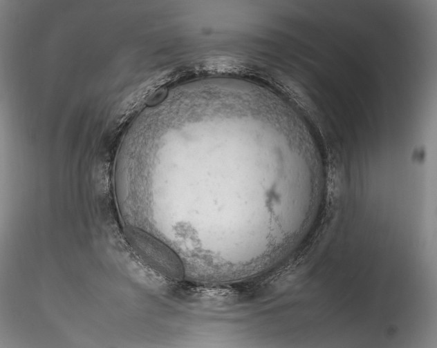 X0000115780401200911271209