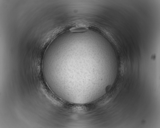 X0000115780402200911271209