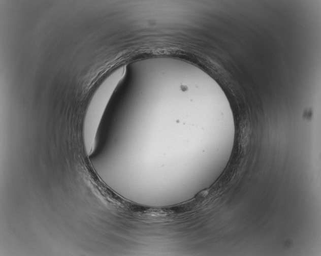 X0000115780405200911271209