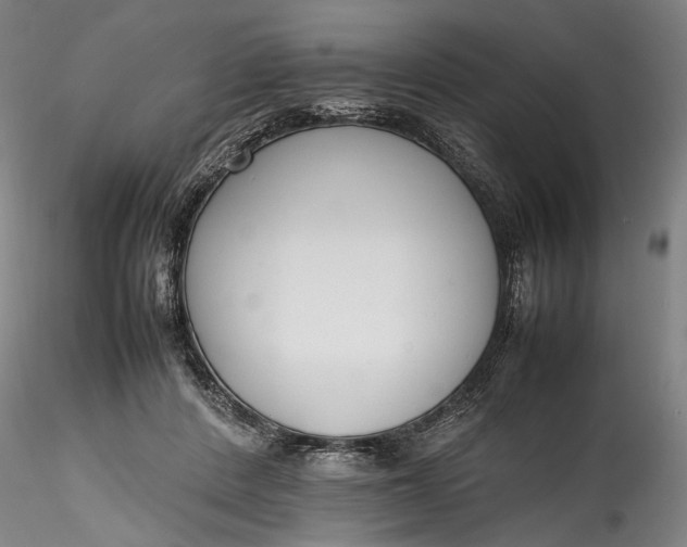 X0000115780408200911271209