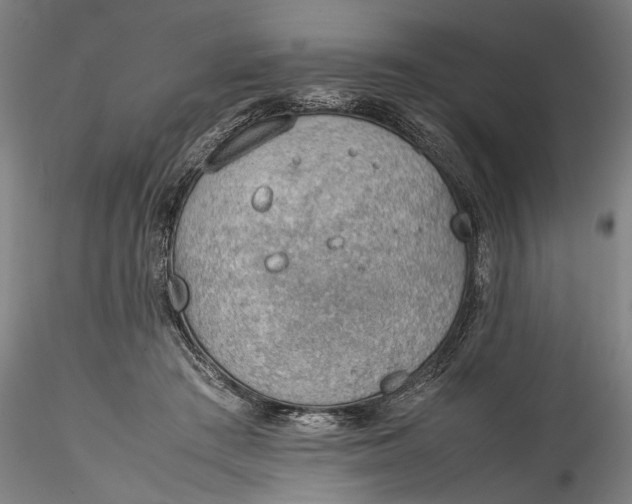 X0000115780409200911271209