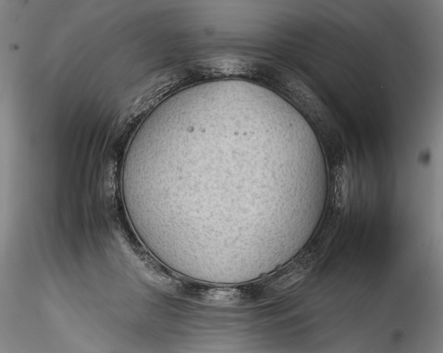 X0000115780410200911271209