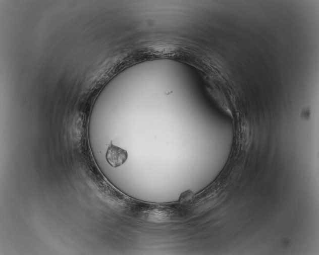 X0000115780412200911271209