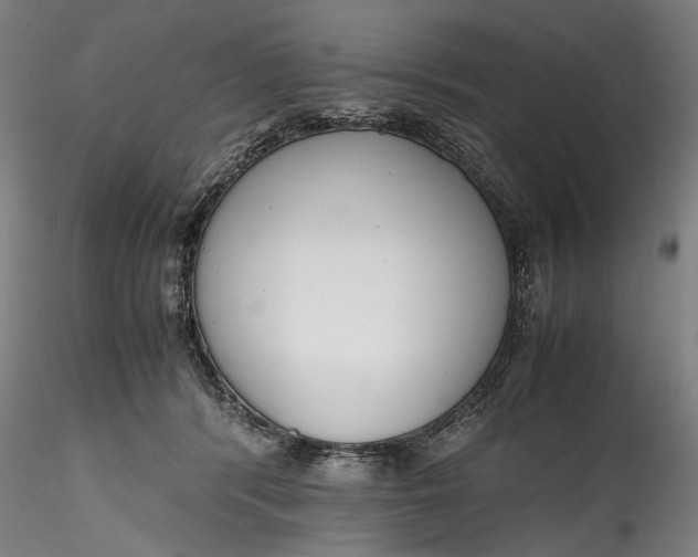 X0000115780416200911271209