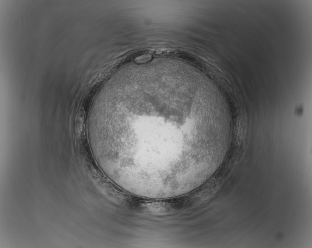 X0000115780417200911271208