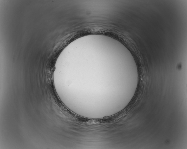 X0000115780419200911271208