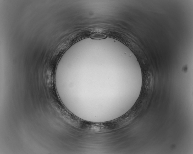 X0000115780420200911271208