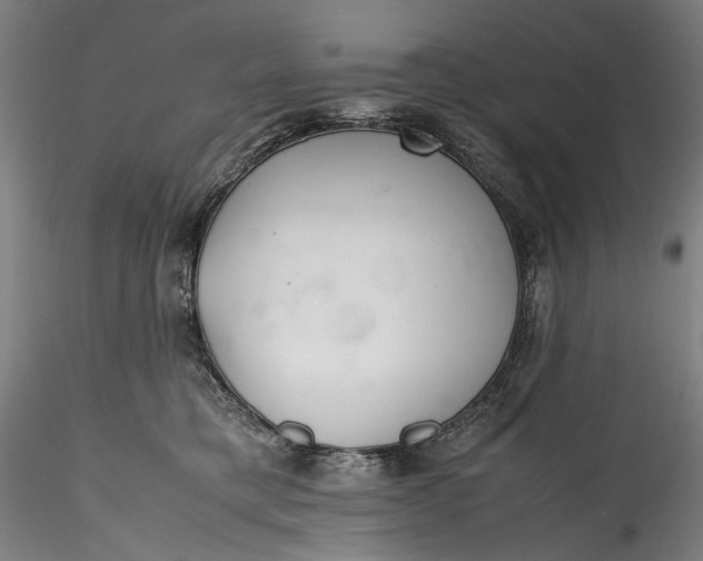 X0000115780421200911271208