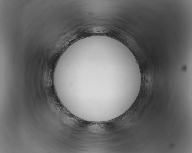 X0000115780422200911271208