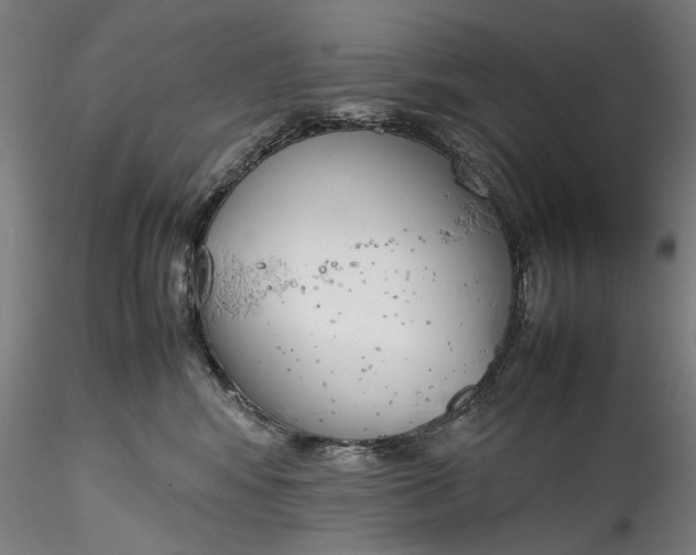 X0000115780424200911271208