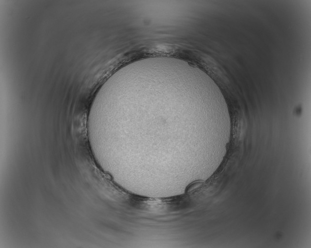 X0000115780425200911271208