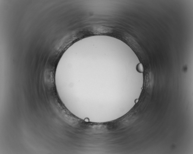 X0000115780426200911271208