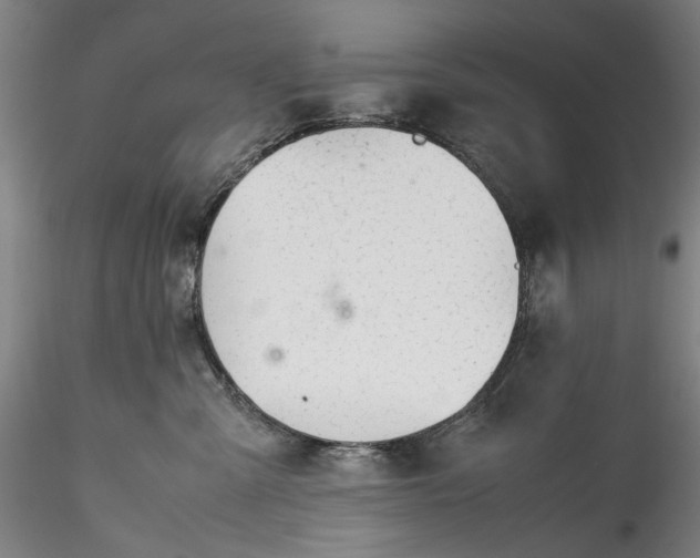 X0000115780427200911271208