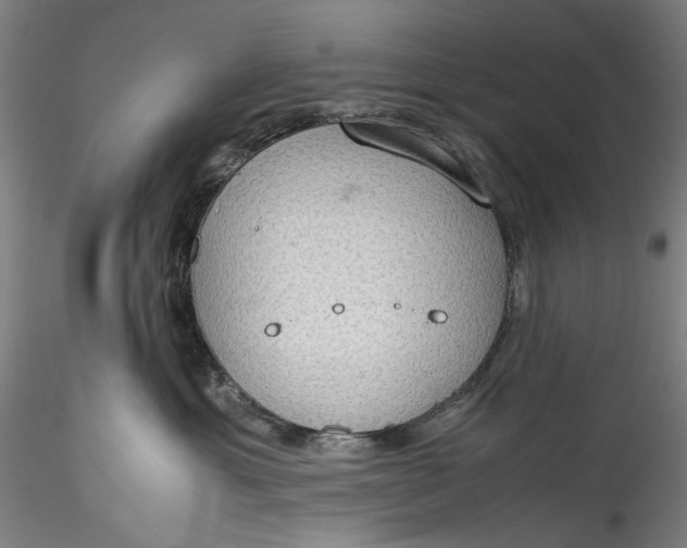 X0000115780429200911271208