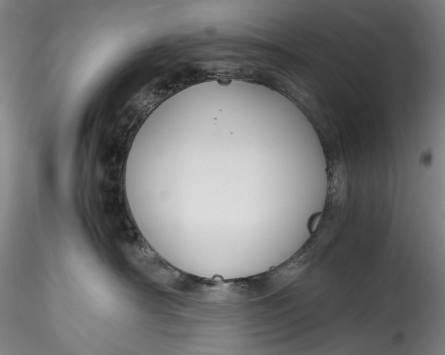 X0000115780430200911271208