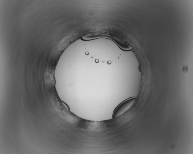 X0000115780432200911271208