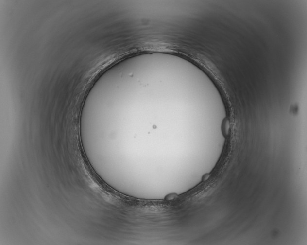 X0000115780433200911271208