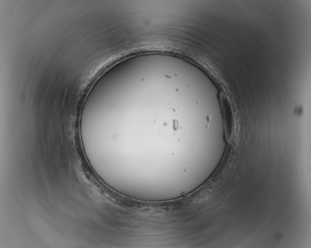 X0000115780434200911271208