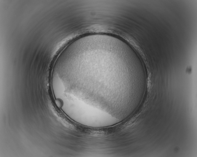 X0000115780438200911271208