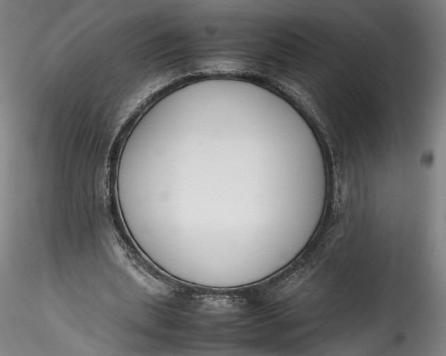 X0000115780439200911271208