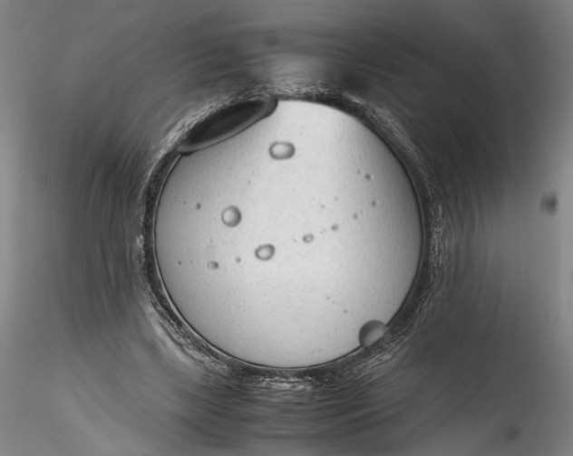 X0000115780443200911271208