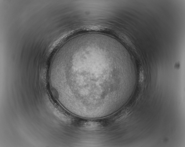 X0000115780444200911271208