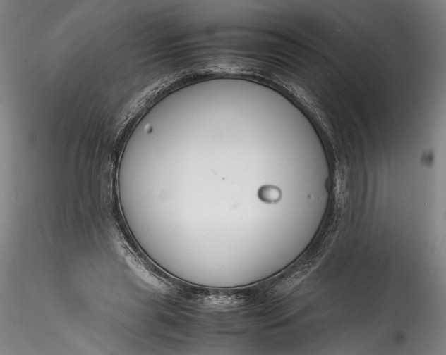 X0000115780445200911271208