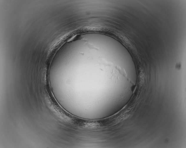 X0000115780446200911271208