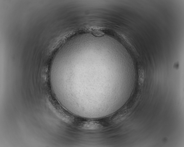 X0000115780451200911271208