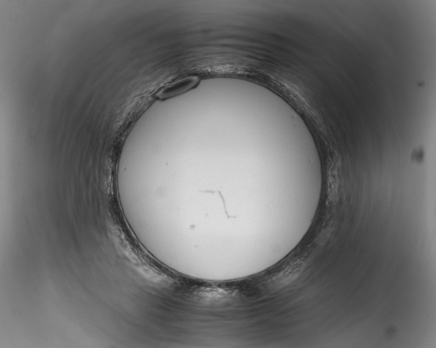 X0000115780453200911271208