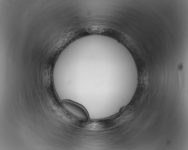 X0000115780460200911271208