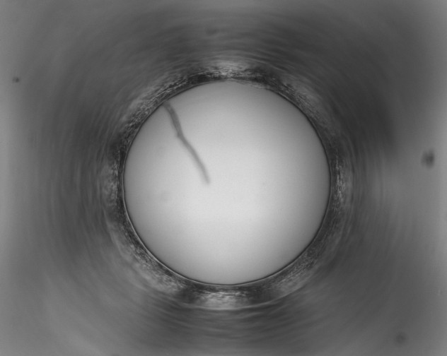 X0000115780461200911271208