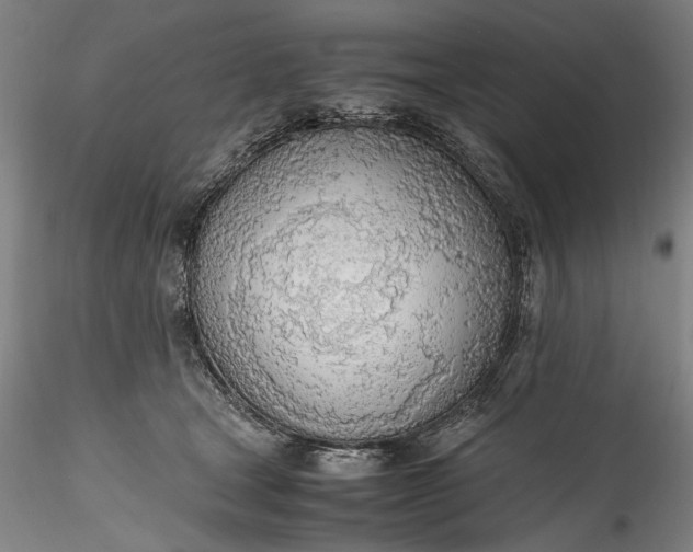 X0000115780465200911271208