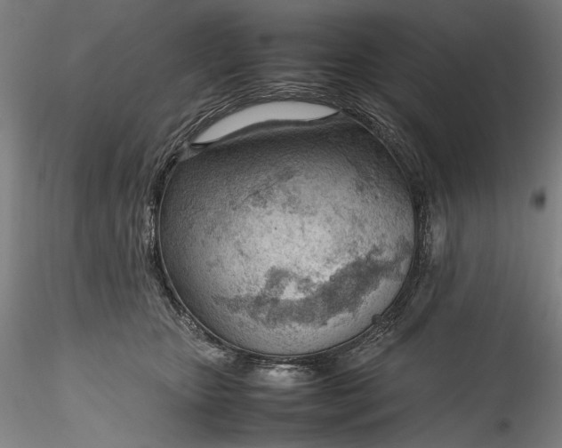 X0000115780467200911271208